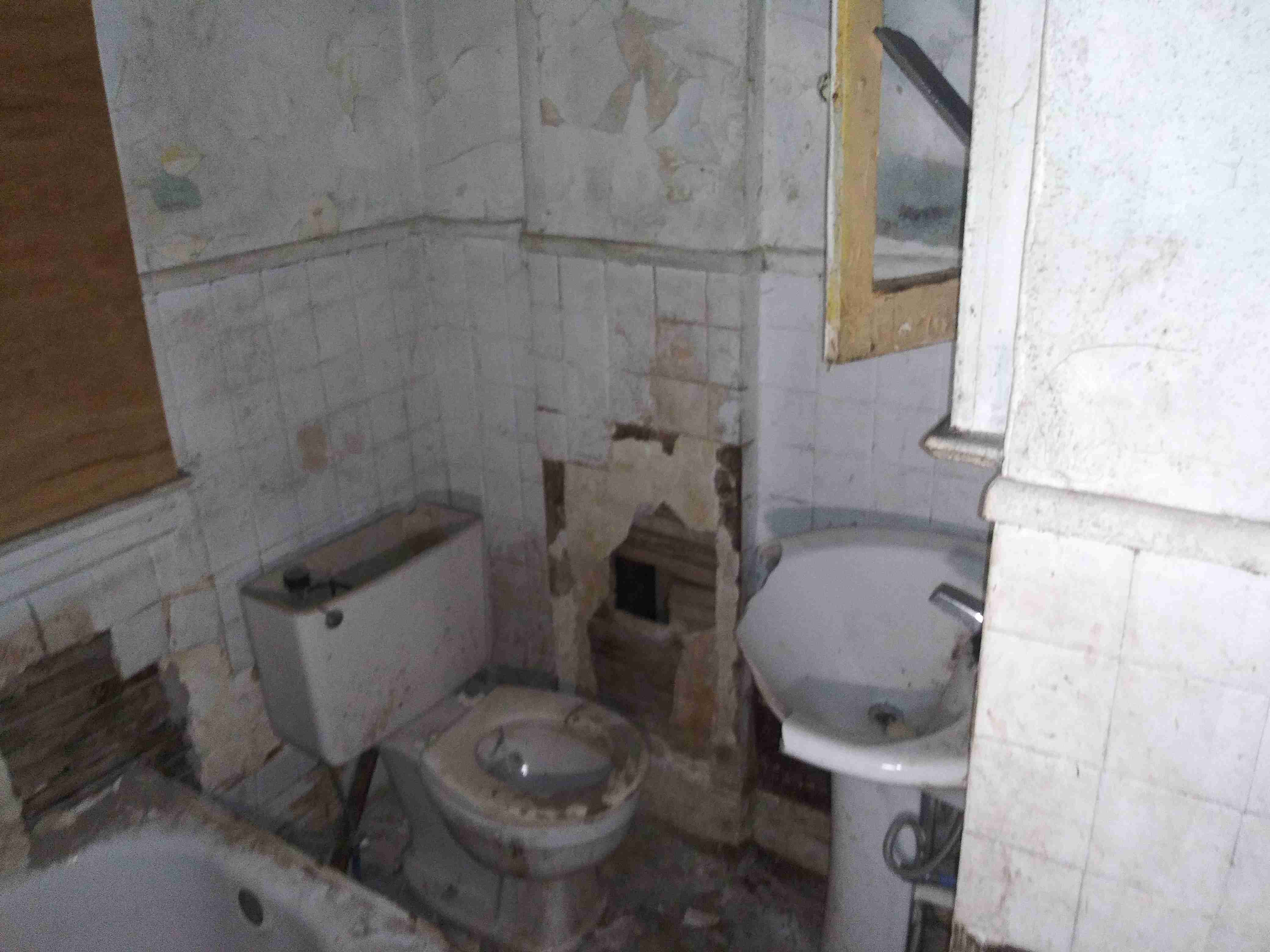 20210317_111528 (1).jpg